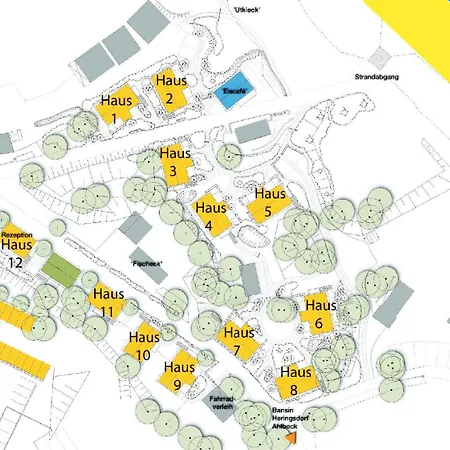 Dünenhäuser Unserusedomde Ca40qm Direkt Am 4i1 Ückeritz